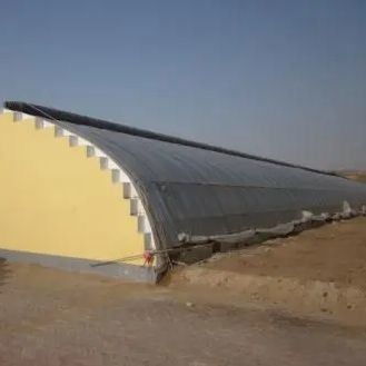 Sunlight-Enhanced Greenhouse for Tomato Cultivation Double Layer and Arched Roof