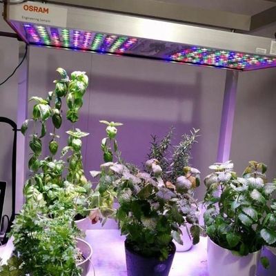 Double Layer Steel Cover Vertical Farming Container Greenhouse for Eco-Friendly House