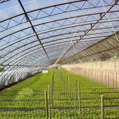 Double Layer Greenhouse for Vegetable Farming and Temporary Heating Productivity