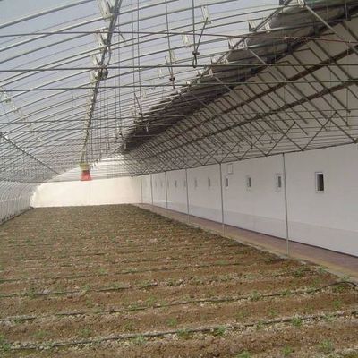 Advanced Vegetable Sunlight Greenhouse with Humidity Control and Optimal Plant Growth