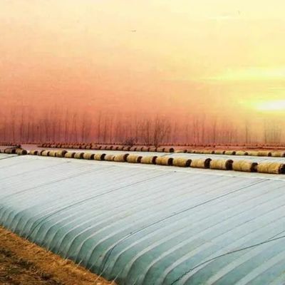 Package Gross Weight 2000.000kg Lightweight Sunlight Greenhouse for Growing Vegetables
