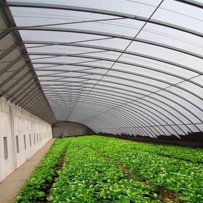 Package Gross Weight 2000.000kg Lightweight Sunlight Greenhouse for Growing Vegetables