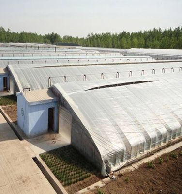 1209.00cm * 235.00cm * 239.00cm Tomato and Cucumber Planting Sunlight Greenhouse for Your