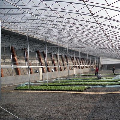 1209.00cm * 235.00cm * 239.00cm Tomato and Cucumber Planting Sunlight Greenhouse for Your