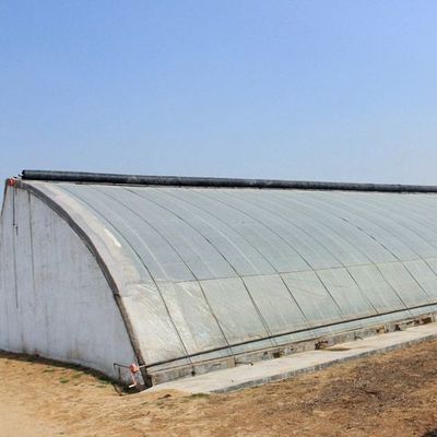 1209.00cm * 235.00cm * 239.00cm Tomato and Cucumber Planting Sunlight Greenhouse for Your