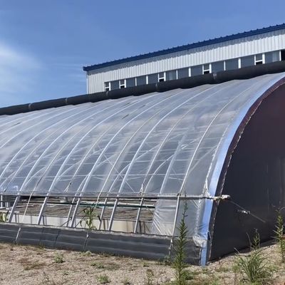 1209.00cm * 235.00cm * 239.00cm Tomato and Cucumber Planting Sunlight Greenhouse for Your