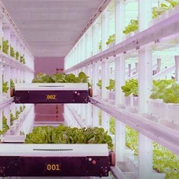 Vertical Farming Container Greenhouse with Hydroponic Innovation in US Currency