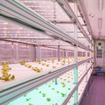 Vertical Farming Container Greenhouse with Hydroponic Innovation in US Currency