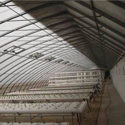 1209cm * 235cm * 239cm Film Greenhouse for Shading and Ventilation of Tomato Planting