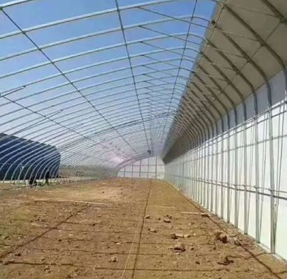 1209cm * 235cm * 239cm Film Greenhouse for Shading and Ventilation of Tomato Planting