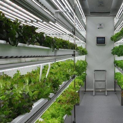 Vertical Farming Container Greenhouse In Shipping Container Design