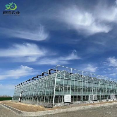 Venlo Type Glass Greenhouse Customization with External Shading System