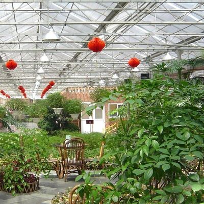 Venlo Type Glass Greenhouse Customization with External Shading System