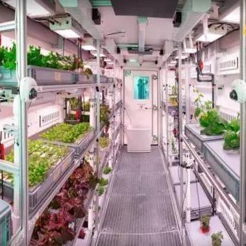 Multi-Span Container Greenhouse for Hydroponic System and Vertical Farming Advantages