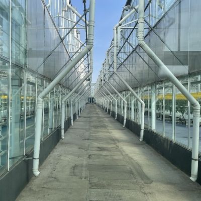 Garden Vegetables and Flowers Arched Roof Glass Greenhouse with Hydroponics System