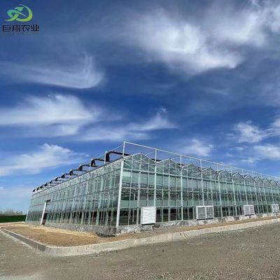 Garden Vegetables and Flowers Arched Roof Glass Greenhouse with Hydroponics System