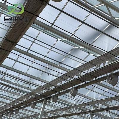 Garden Vegetables and Flowers Arched Roof Glass Greenhouse with Hydroponics System