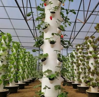 Vertical Farming Container Greenhouse in 40HQ Reefer with Hydroponic Container