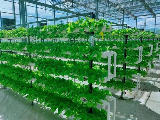 Vertical Farming Container Greenhouse in 40HQ Reefer with Hydroponic Container