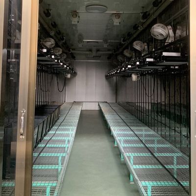 Steel Cover Hydroponic Vertical Farming Container Greenhouse with Advanced Technology