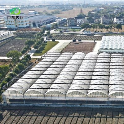 Hydroponic Cultivation Greenhouse Covered with Plastic Sheet and Single Span Design