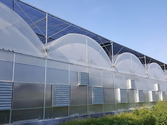 Hydroponic Cultivation Greenhouse Covered with Plastic Sheet and Single Span Design