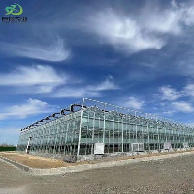 Customization Juxiang Greenhouse's Customizable Commercial Film and Glass Greenhouse
