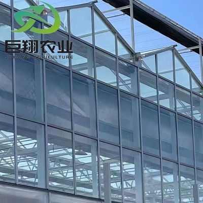 Customization Juxiang Greenhouse's Customizable Commercial Film and Glass Greenhouse