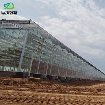 Customization Juxiang Greenhouse's Customizable Commercial Film and Glass Greenhouse