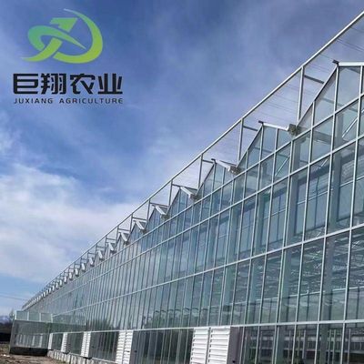 Customization Juxiang Greenhouse's Customizable Commercial Film and Glass Greenhouse