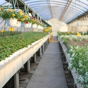 Multi-Span Hydroponic System for Farm Film Greenhouse Package Gross Weight 2000.000kg