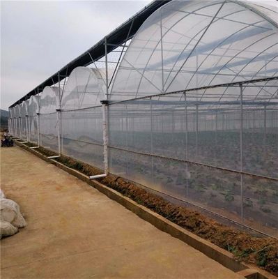 Multi-Span Hydroponic System for Farm Film Greenhouse Package Gross Weight 2000.000kg