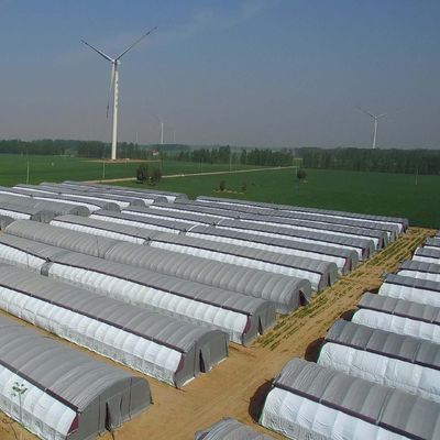 Multi-Span Hydroponic System for Farm Film Greenhouse Package Gross Weight 2000.000kg