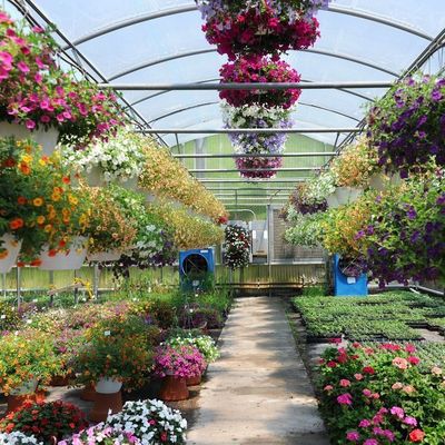 Multi-Span Hydroponic System for Farm Film Greenhouse Package Gross Weight 2000.000kg