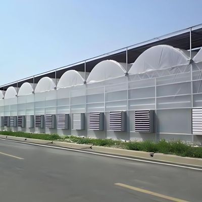Multi-Span Hydroponic System for Farm Film Greenhouse Package Gross Weight 2000.000kg
