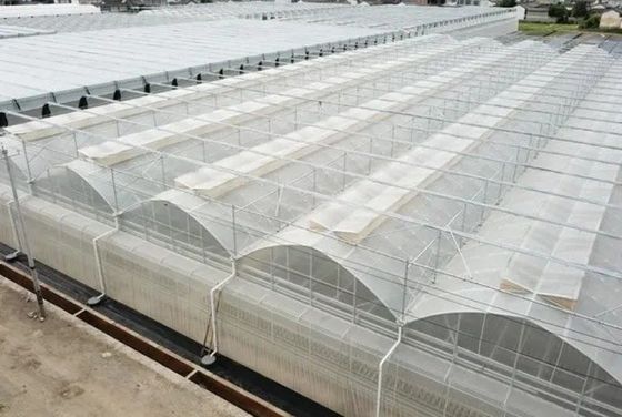 Origin Double-Arch Hydroponic Greenhouse JX-FG-001 with and 1 Square Meter Min.Order