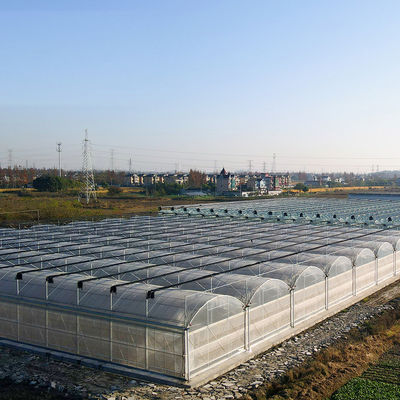 Origin Double-Arch Hydroponic Greenhouse JX-FG-001 with and 1 Square Meter Min.Order