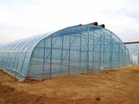 Origin Double-Arch Hydroponic Greenhouse JX-FG-001 with and 1 Square Meter Min.Order