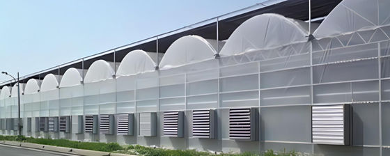 Double Layer Tomato Cucumber Peper Flowers Greenhouse with and Temporary Heating