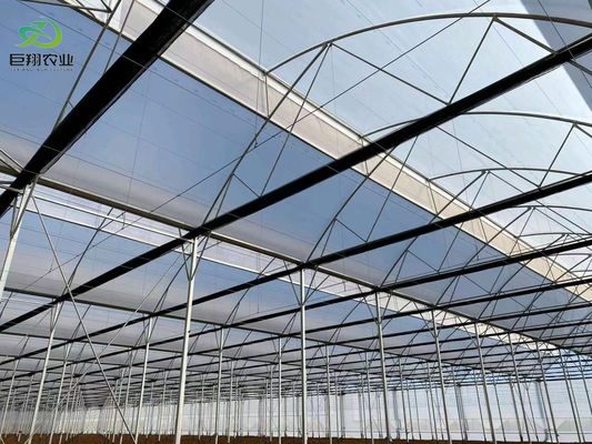 Juxiang Hydroponic Farm Film Greenhouse with Steel Structure and 30-day Return refunds