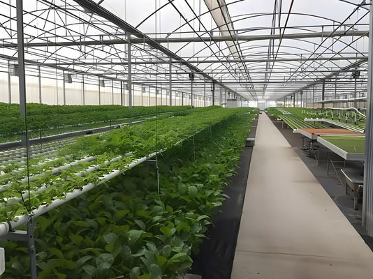 Juxiang Hydroponic Farm Film Greenhouse with Steel Structure and 30-day Return refunds