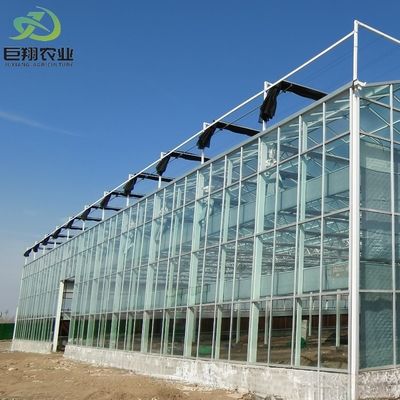 Hot Galvanized Steel Framework Multi-Span Glass Sheet Greenhouse for Continuous Heating
