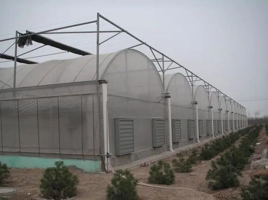 Steel Structure Multi-Span Hydroponic Greenhouse System for Sustainable Agriculture