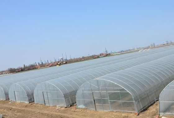 US Single-Pan Greenhouse System for Growing Vegetables and Flowers 30 Days Refund