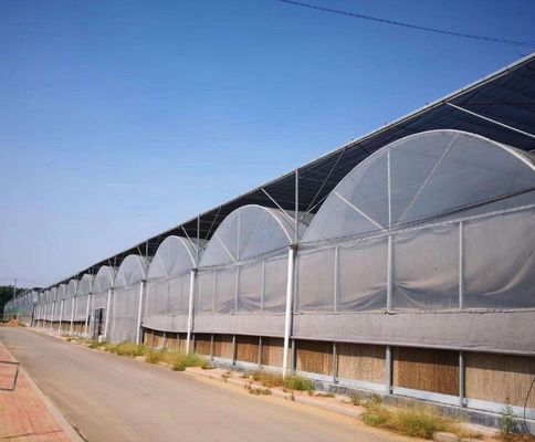 Multi-Span Hydroponic Greenhouse System for Production and Commercial Experimentation