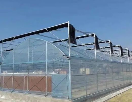 Multi-Span Hydroponic Greenhouse System for Production and Commercial Experimentation