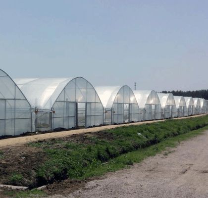 Multi-Span Hydroponic Greenhouse System for Production and Commercial Experimentation