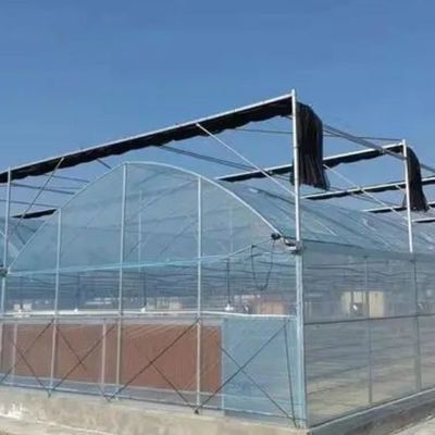 Seedling Cultivation Juxiang Hydroponic Farm Film Greenhouse with Customized Request
