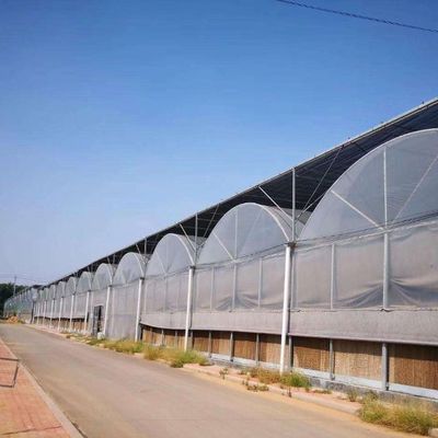 Seedling Cultivation Juxiang Hydroponic Farm Film Greenhouse with Customized Request