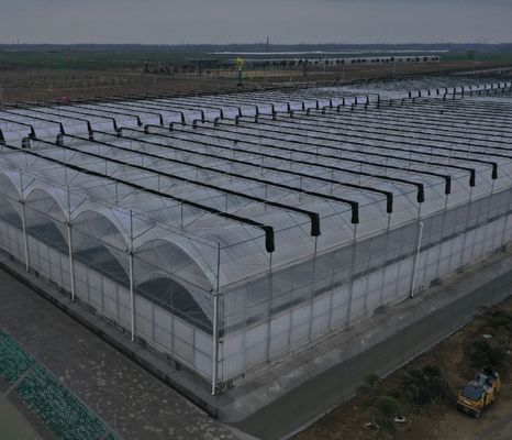 Seedling Cultivation Juxiang Hydroponic Farm Film Greenhouse with Customized Request